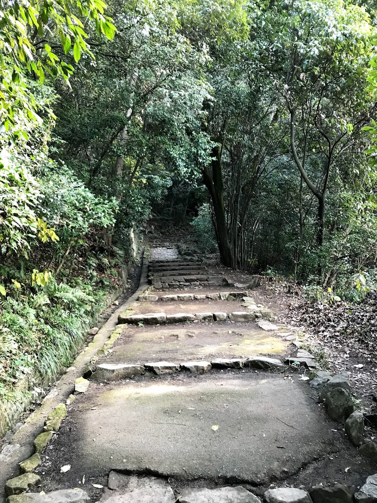 松山城へ至る森と階段