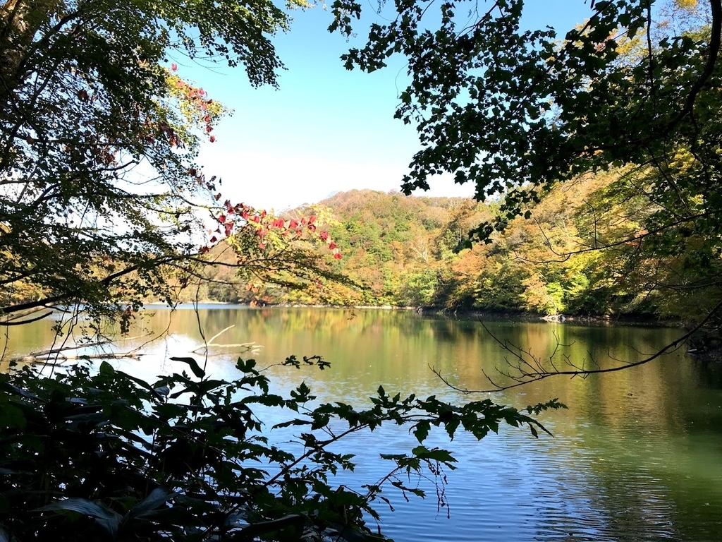 鶏頭場の池1