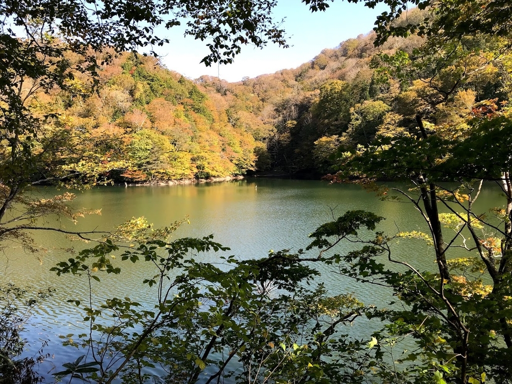 鶏頭場の池2