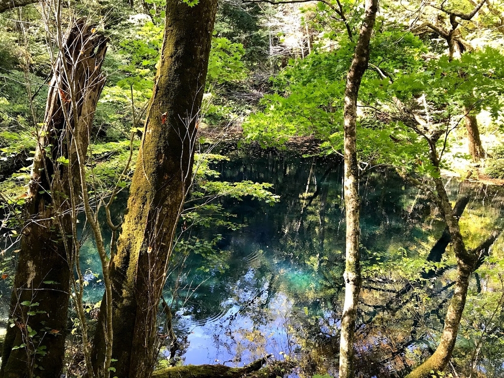 沸壺の池２