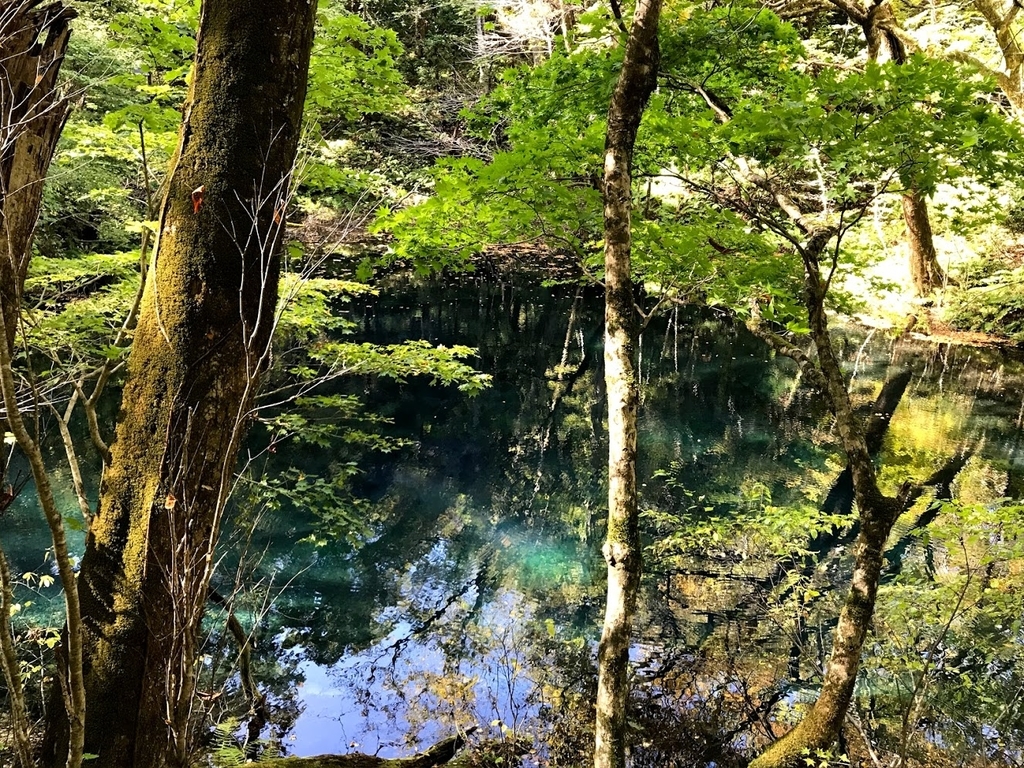 沸壺の池1
