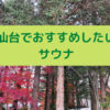 仙台でおすすめしたいサウナ
