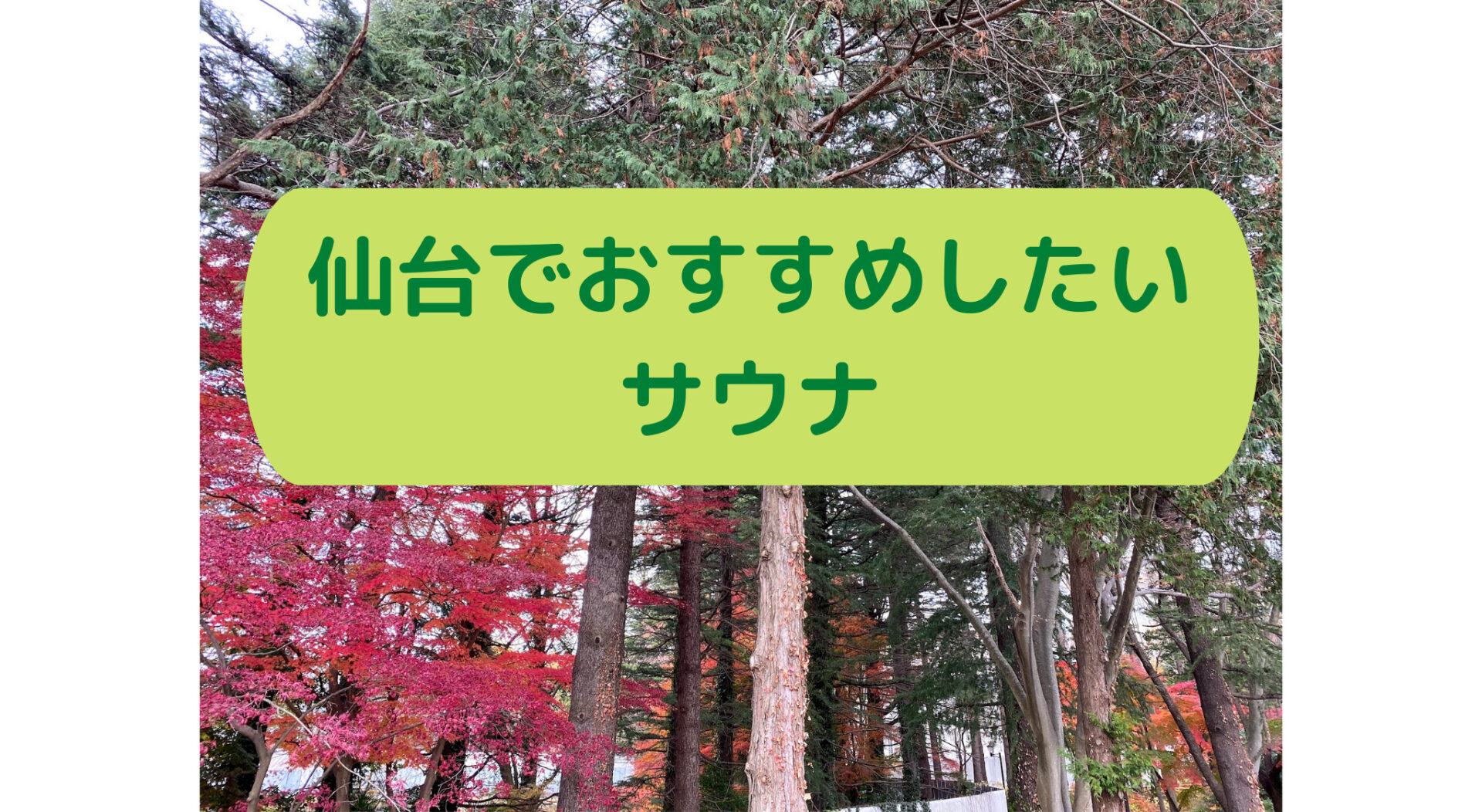 仙台でおすすめしたいサウナ