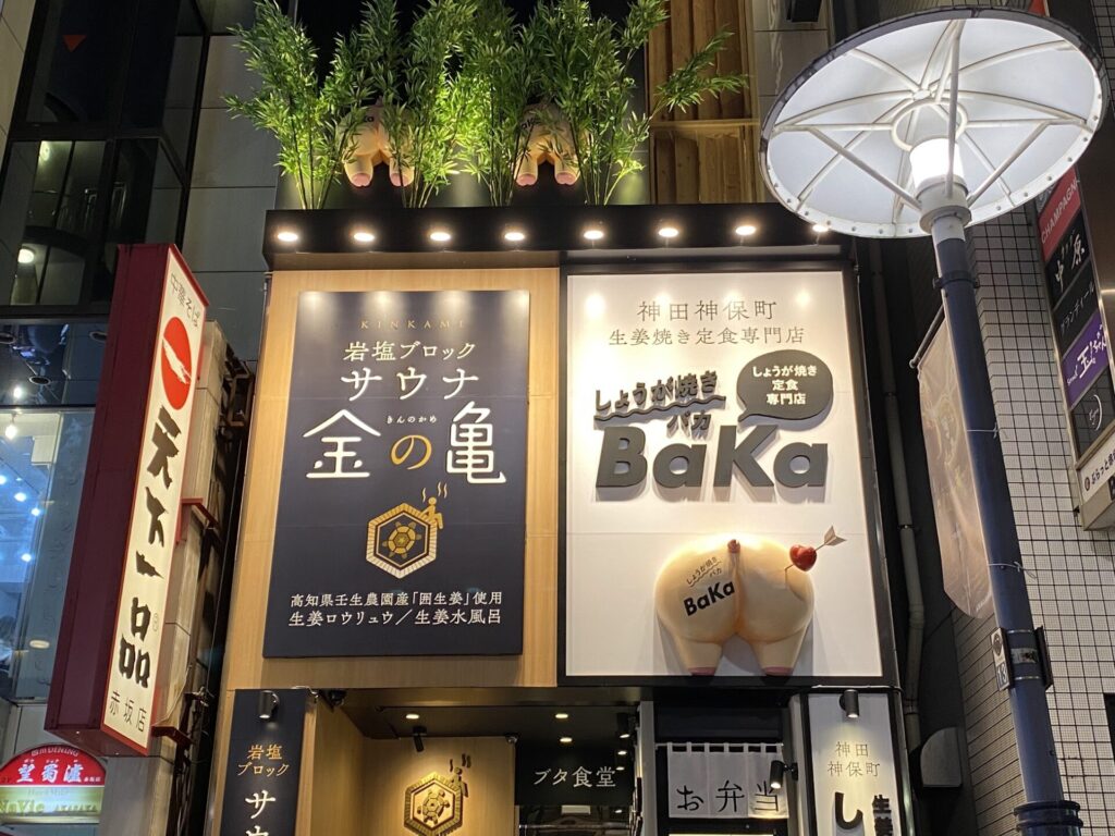 岩塩ブロックサウナ金の亀