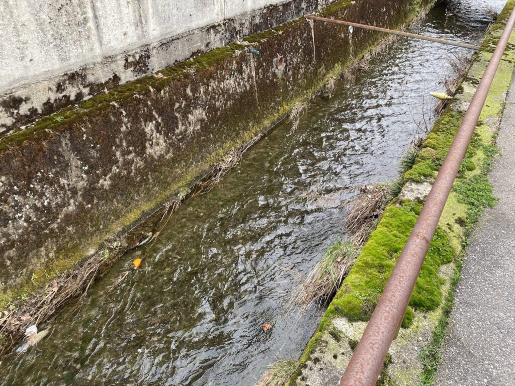 用水路　キレイな水