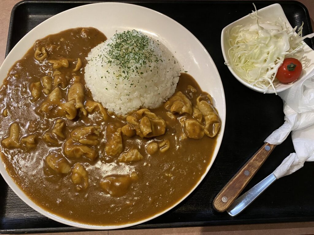 富士山もつカレー