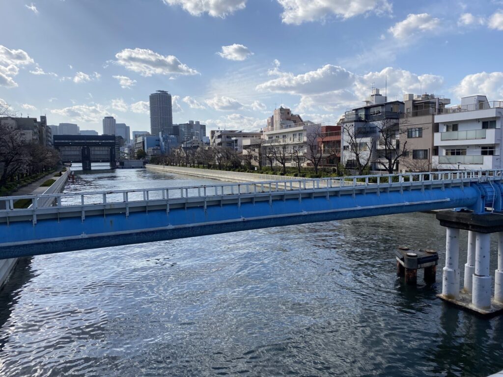 高橋からの風景